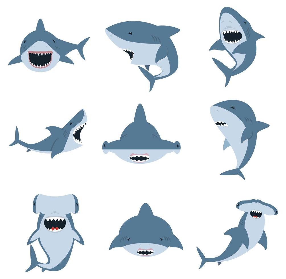 White shark and Hammer head shark set vector