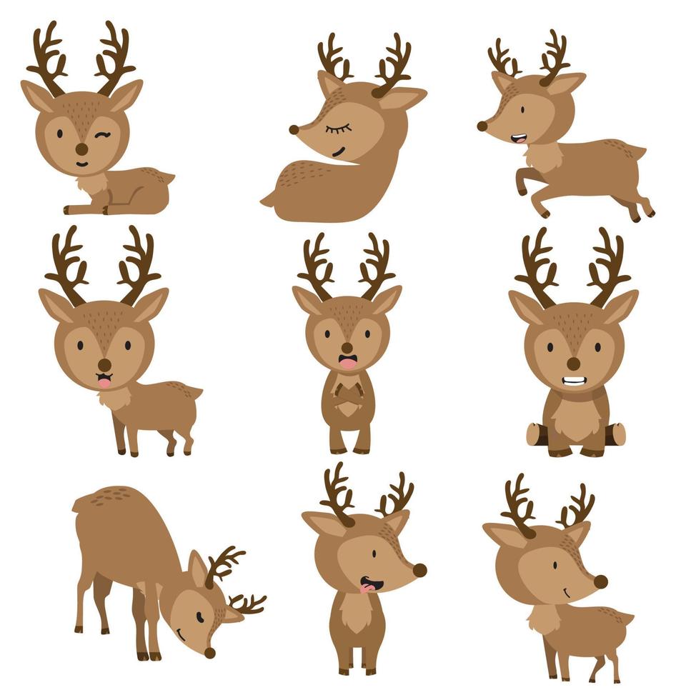 Cute Deers in different poses vector