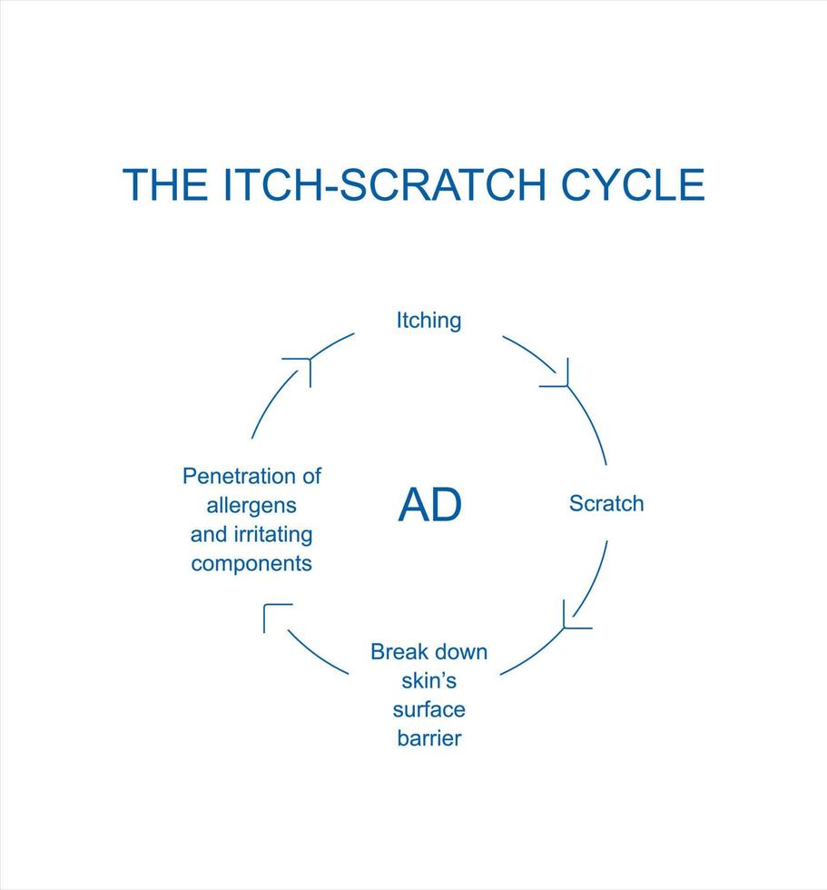 Atopic dermatitis itch-scratch cycle conditions. Eczema-prone skin. Infographics vector illustration.