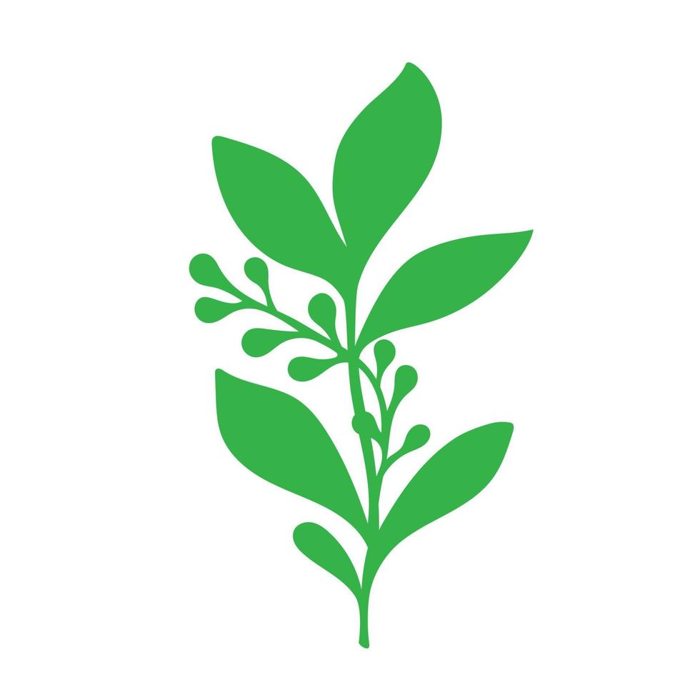 Green Twigs and Branches with Leaves Vector, vector