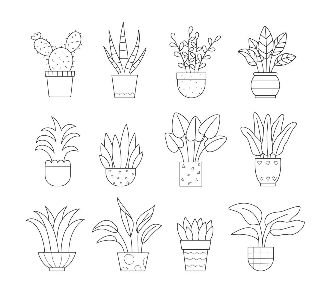 Set of house plants in the pots. Isolated vector linear illustration on white background.