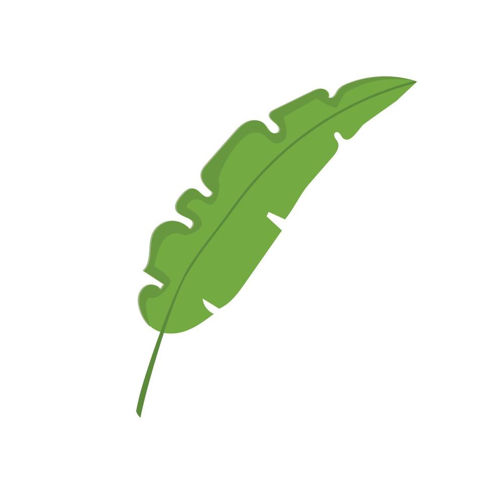 tropical leaves doodle vector