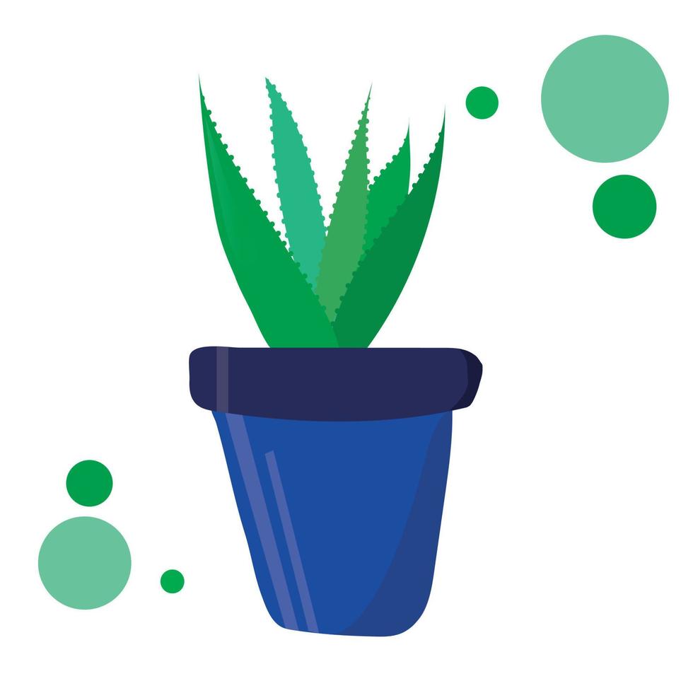 vector illustration of plant aloe