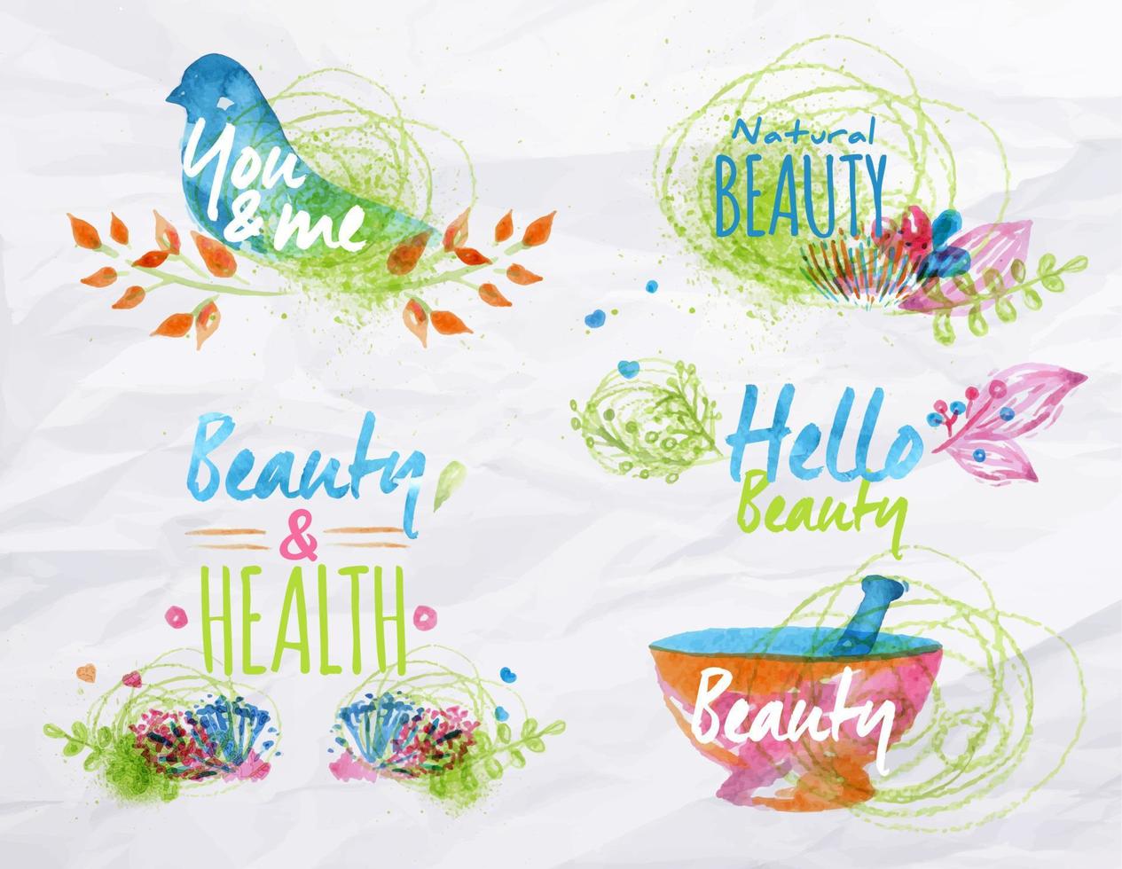 Watercolor symbols elements on beauty bright flowers twigs nature stylized as freehand drawing with watercolor vector