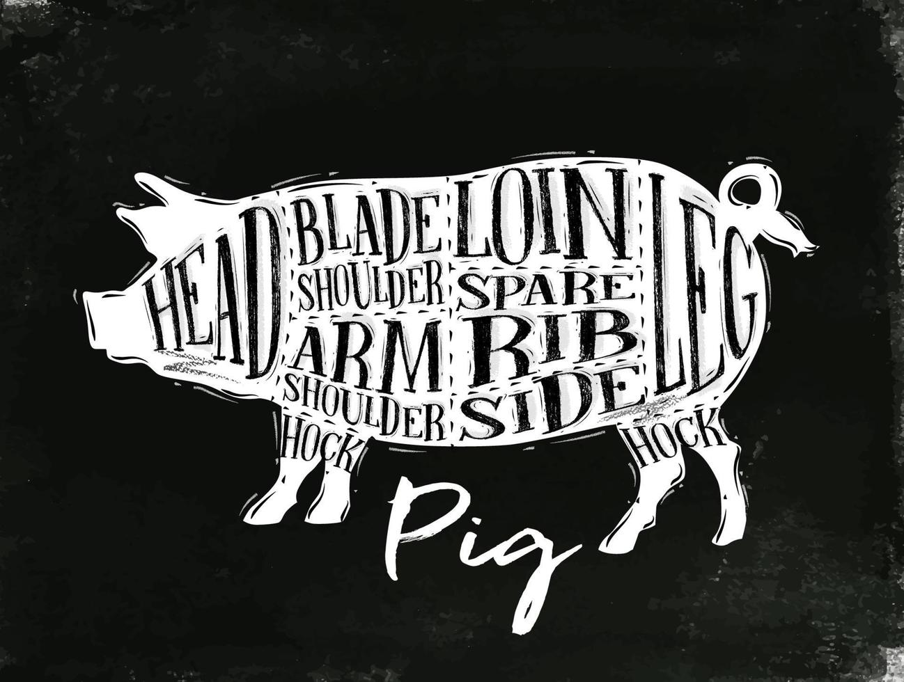 Poster pig pork cutting scheme lettering head, blade shoulder, arm shoulder, loin, spare rib, side, hock, leg in vintage style drawing with chalk on chalkboard background vector