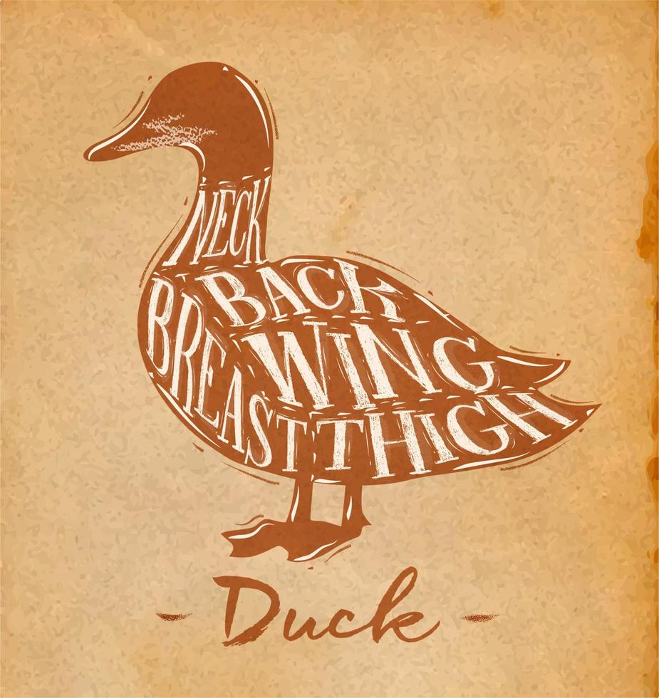Poster duck cutting scheme lettering neck, back, wing, breast, thigh in retro style drawing craft background vector