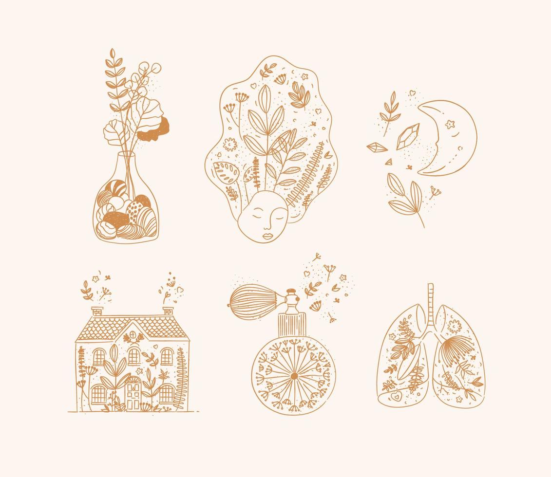 Set of floral art icons in hand made line style vase of flowers, woman face, moon, house, perfume bottle, human lungs drawing on beige background vector