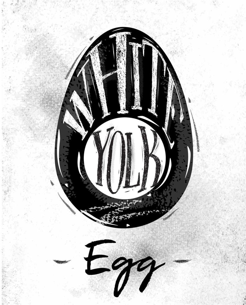 Poster egg cutting scheme lettering white, yolk in vintage style drawing on dirty paper background vector