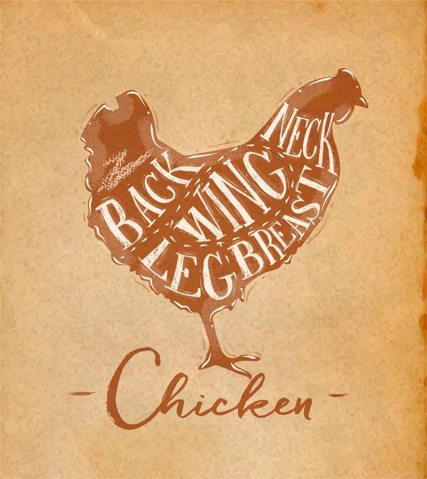 Poster chicken cutting scheme lettering neck, back, wing, breast, leg in retro style drawing craft background vector