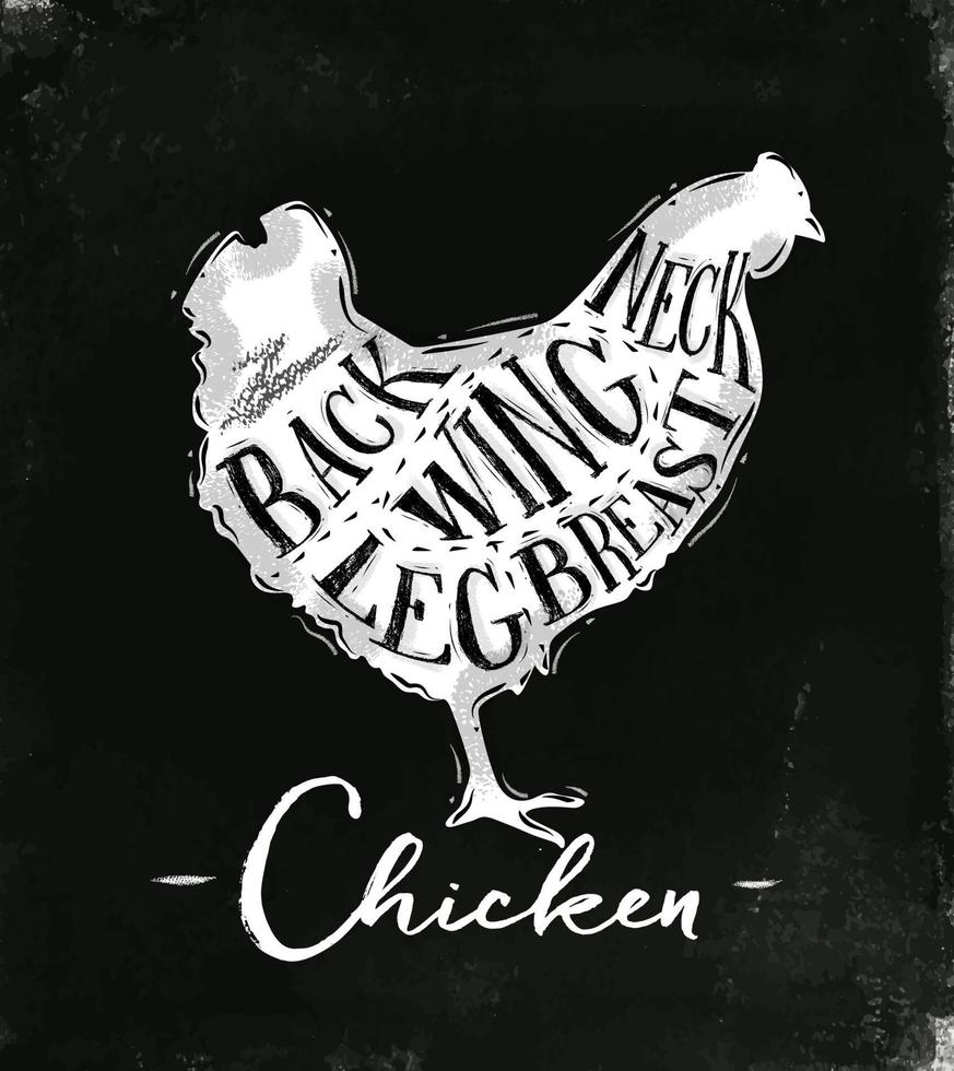 Poster chicken cutting scheme lettering neck, back, wing, breast, leg in vintage style drawing with chalk on chalkboard background vector