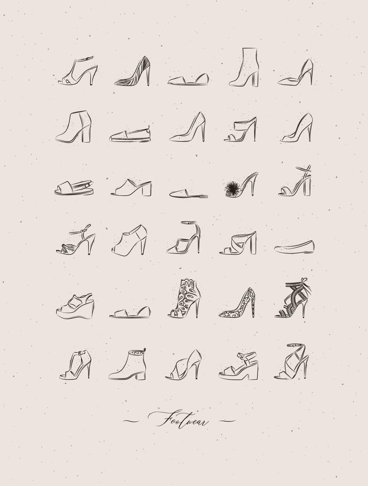 zapatos de mujer diferentes tipos de dibujo en estilo vintage sobre fondo beige vector