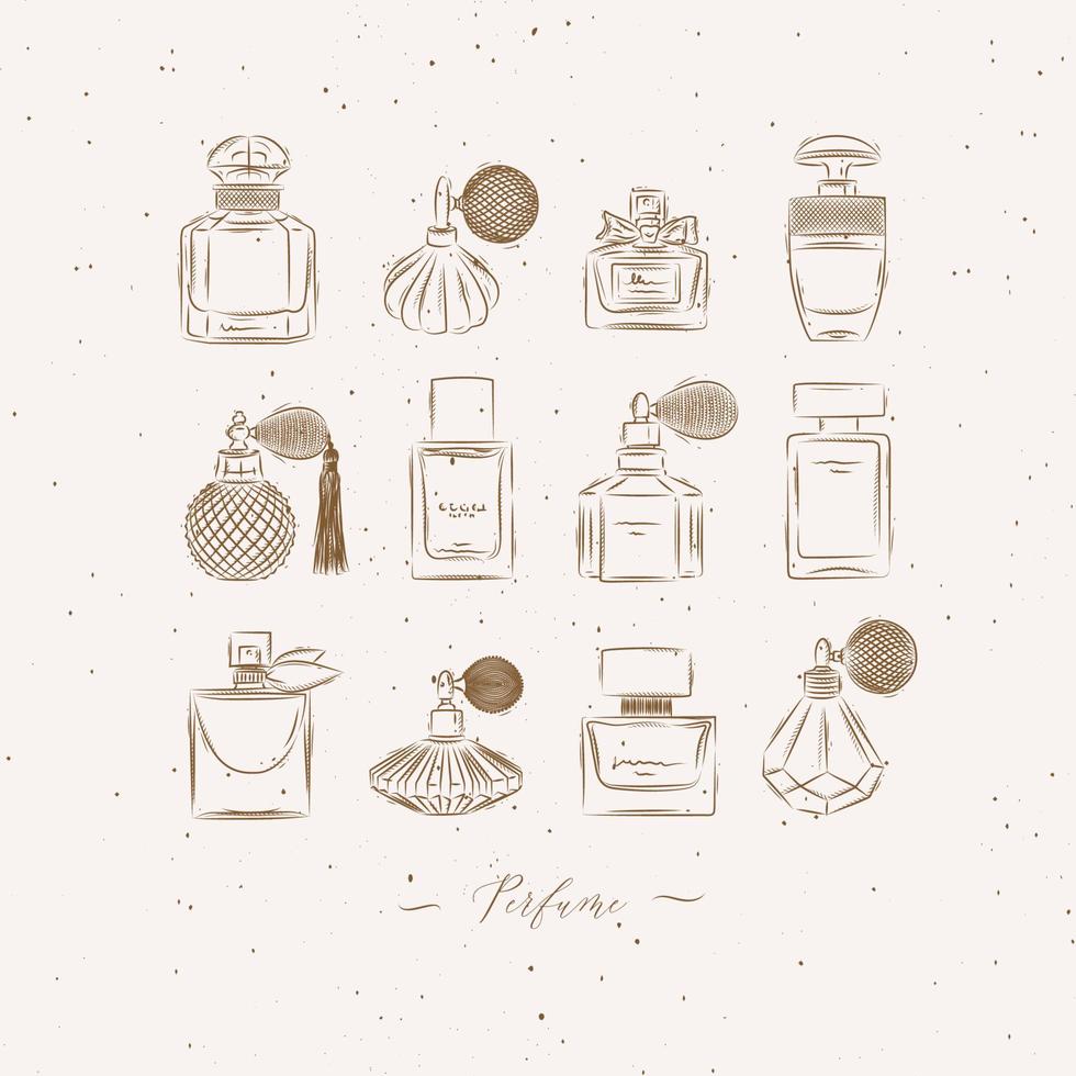 Perfume bottles for fragrance set drawing in vintage style on beige background vector