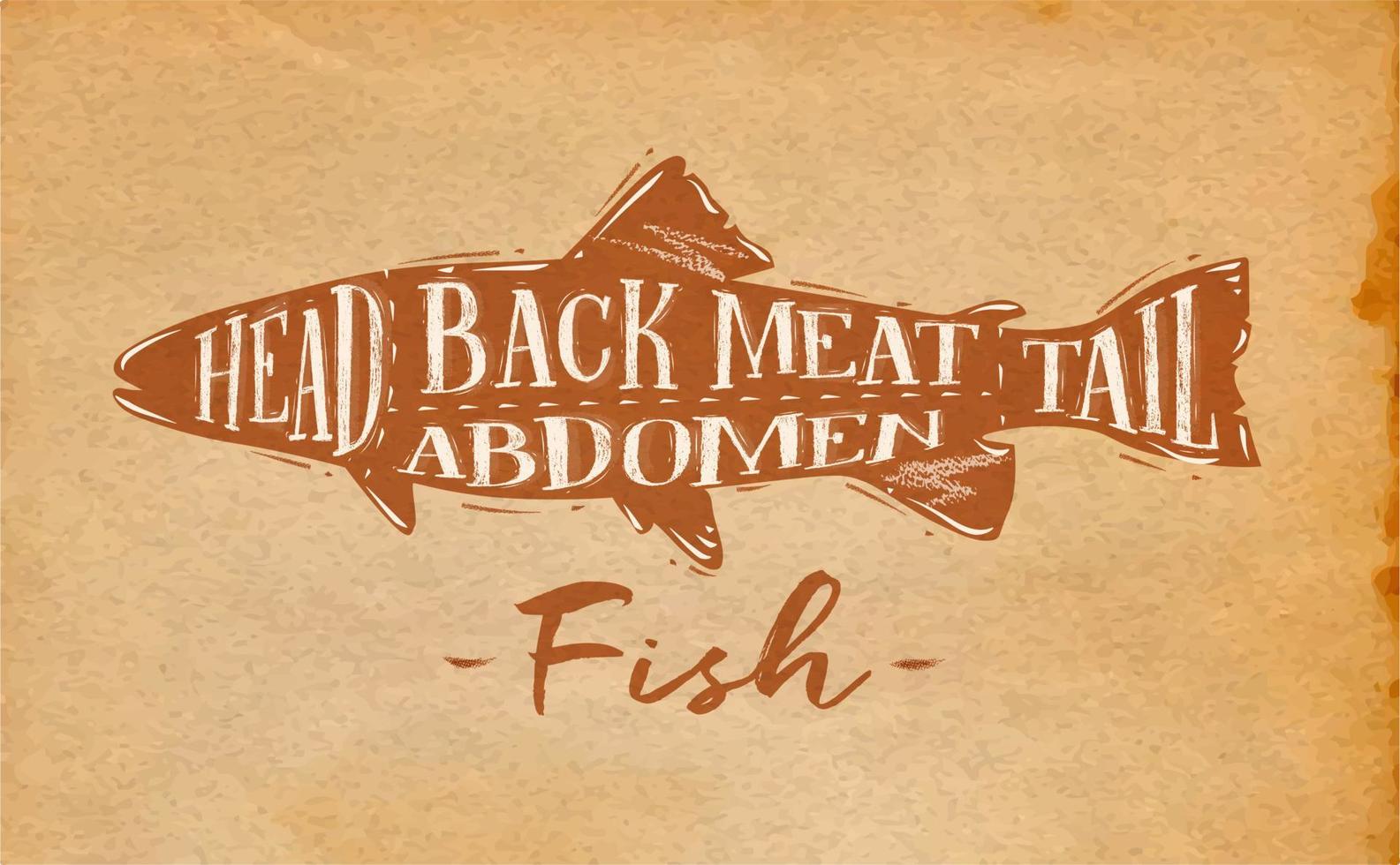 esquema de corte de pescado de afiche cabeza de letras, carne de espalda, abdomen, cola en estilo retro fondo artesanal de dibujo vector