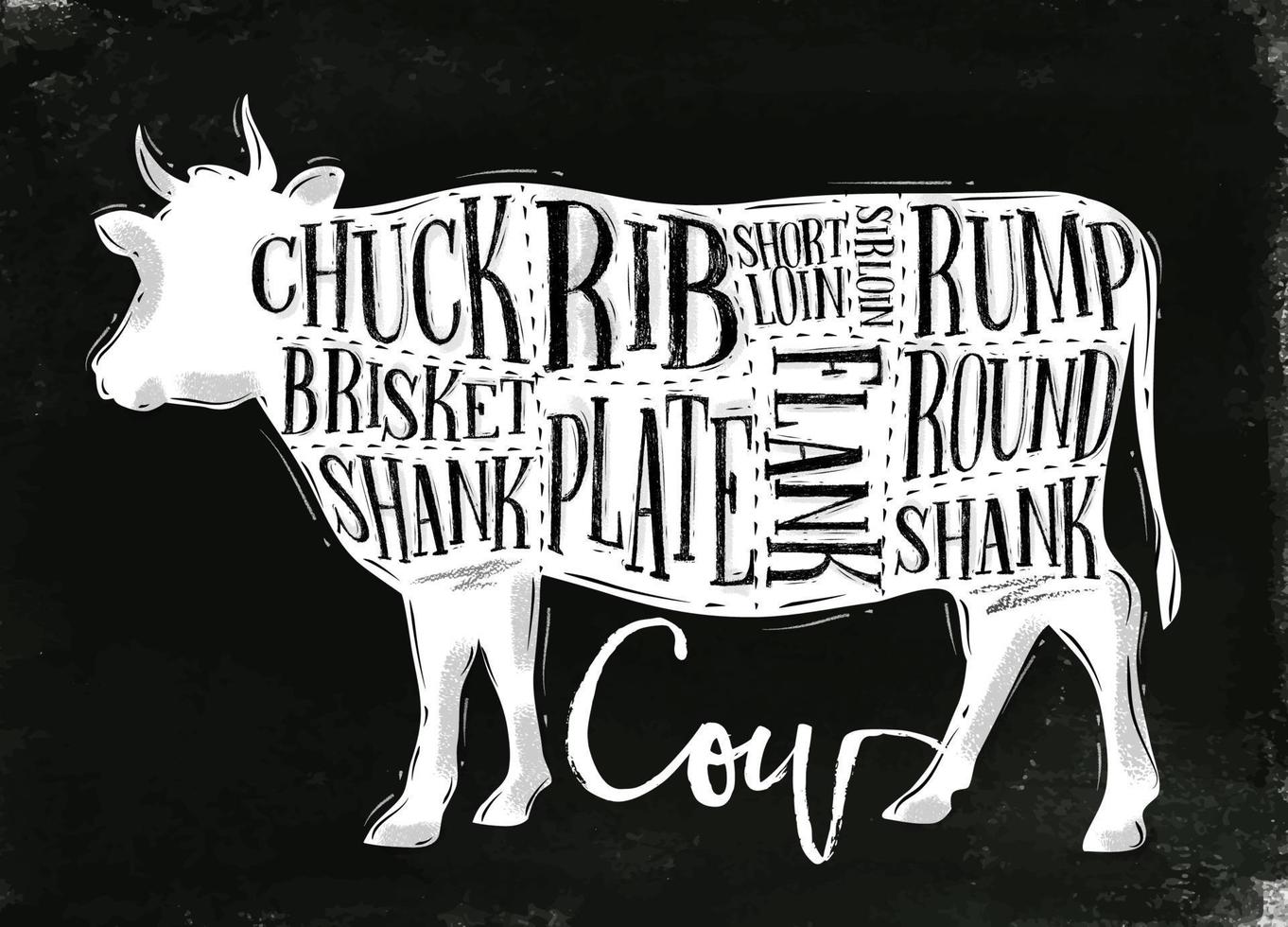 afiche del esquema de corte de carne de vacuno con letras chuck, brisket, shank, costilla, plato, flanco, solomillo, shortloin, grupa, redondo, shank en un dibujo de estilo vintage con tiza en el fondo de la pizarra vector