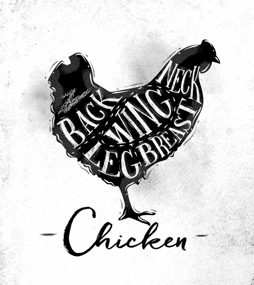 esquema de corte de pollo de afiche con letras de cuello, espalda, ala, pechuga, pierna en estilo vintage dibujando sobre fondo de papel sucio vector