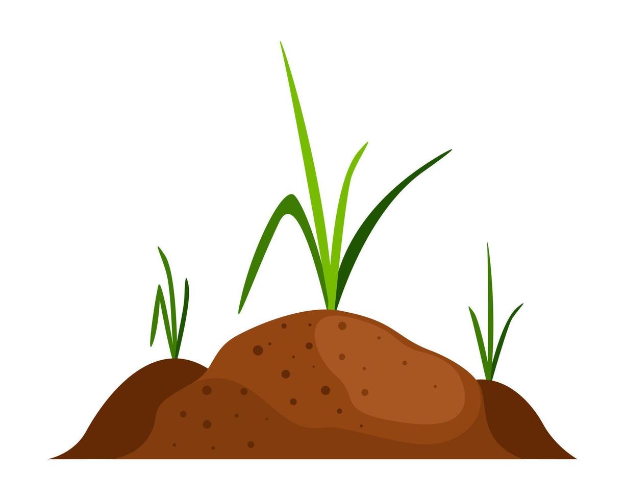 Seedlings grow in the ground. Small sprouts in the soil. Concept of gardening, farming, eco-friendly food. vector