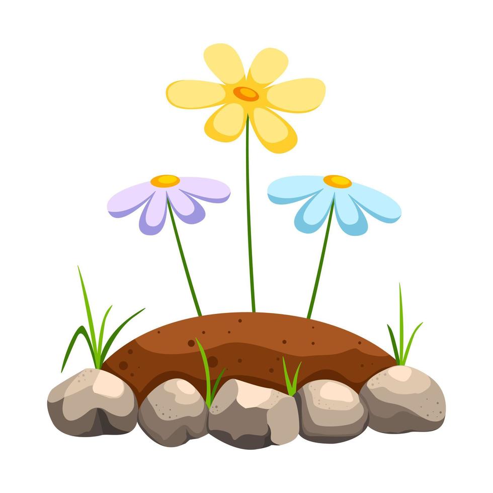 Flowers growing in soil in stone flowerbed close-up. Concept of gardening, landscape design. vector