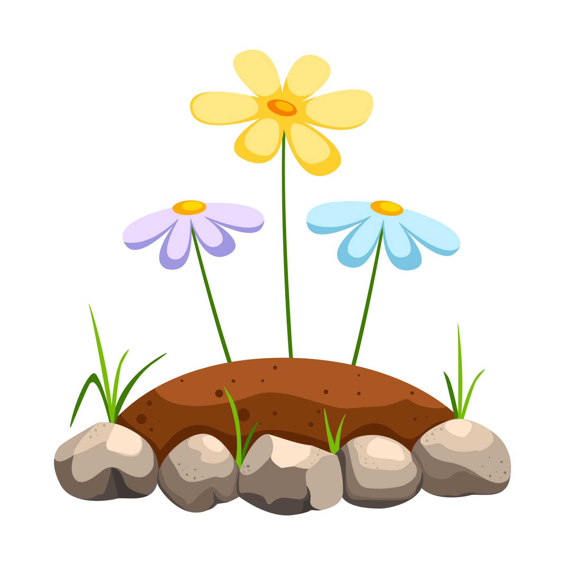 Flowers growing in soil in stone flowerbed closeup. Concept of