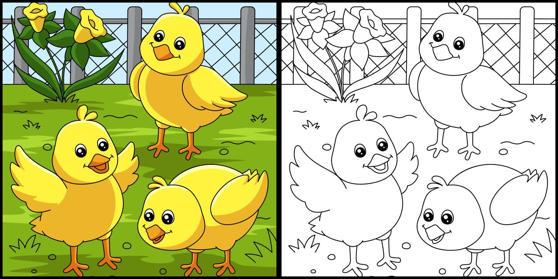 Chicks Coloring Page Colored Illustration vector
