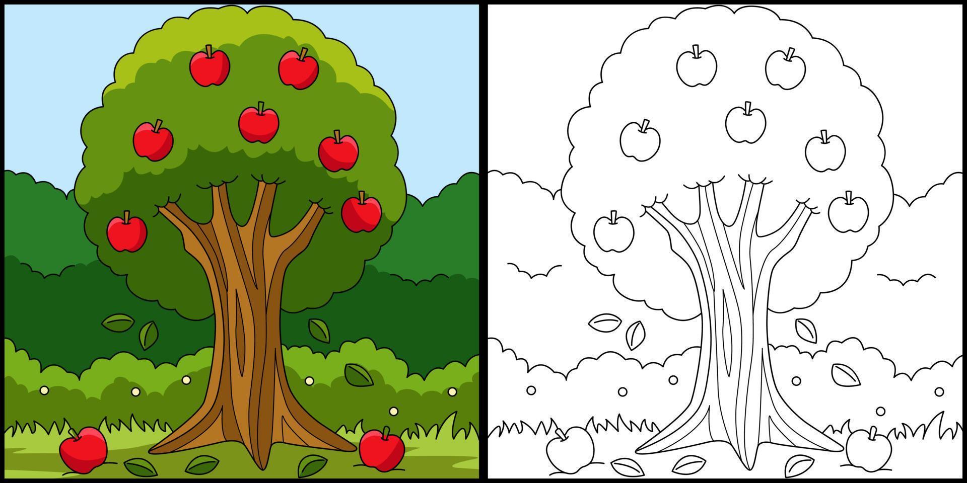 Apple Tree Coloring Page Colored Illustration vector