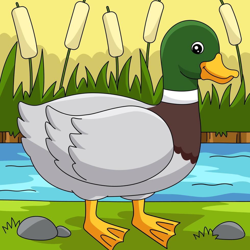 Duck Colored Cartoon Farm Illustration vector