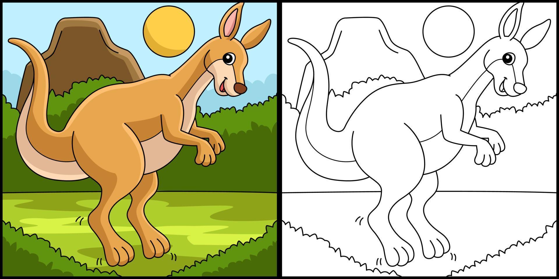 Kangaroo Animal Coloring Page Colored Illustration vector