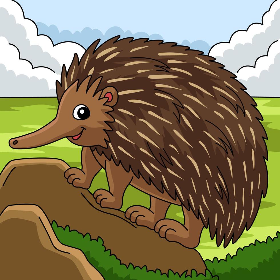 Echidna Animal Colored Cartoon Illustration vector