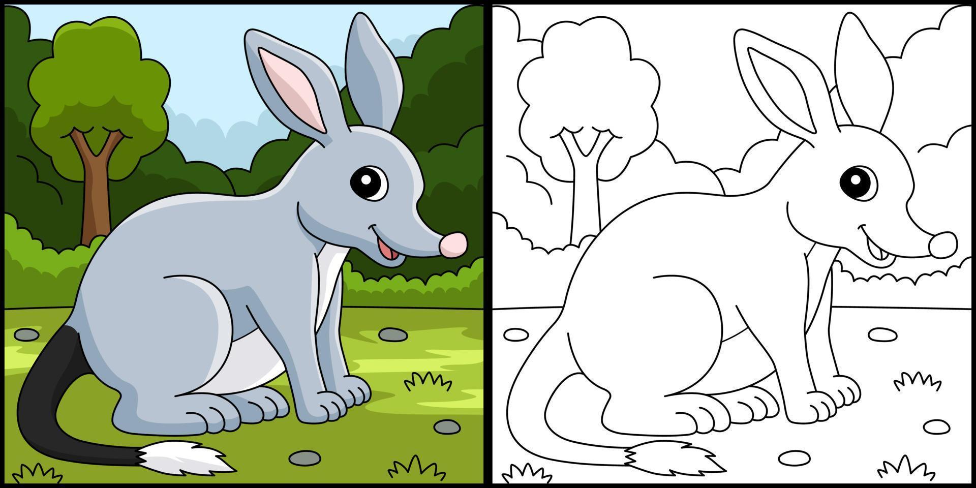 bilby animal para colorear página color ilustración vector