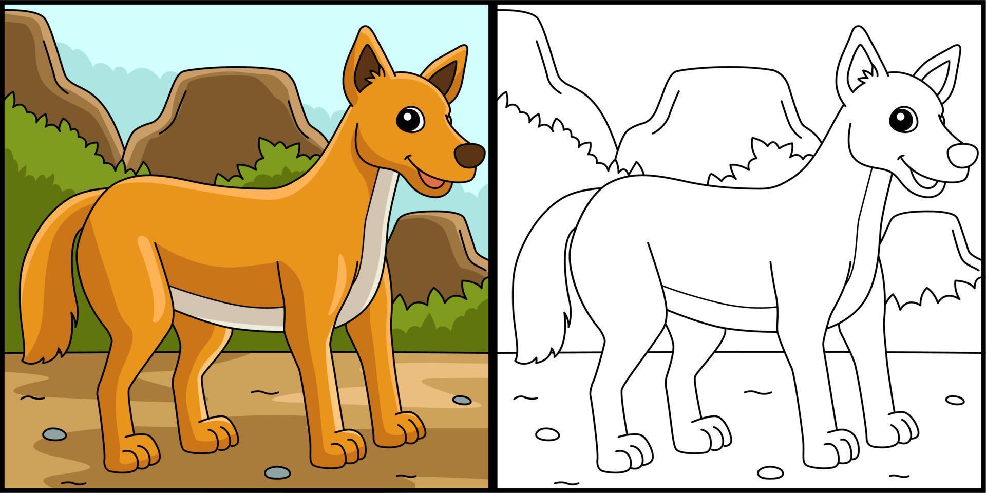 Dingo Animal Coloring Page Colored Illustration vector