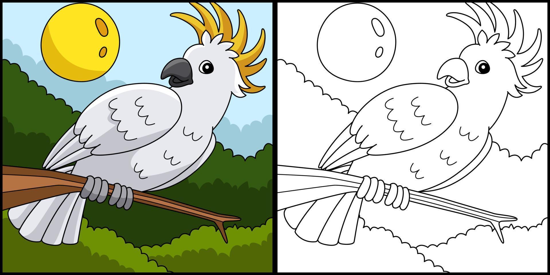 Cockatoo Animal Coloring Page Colored Illustration vector