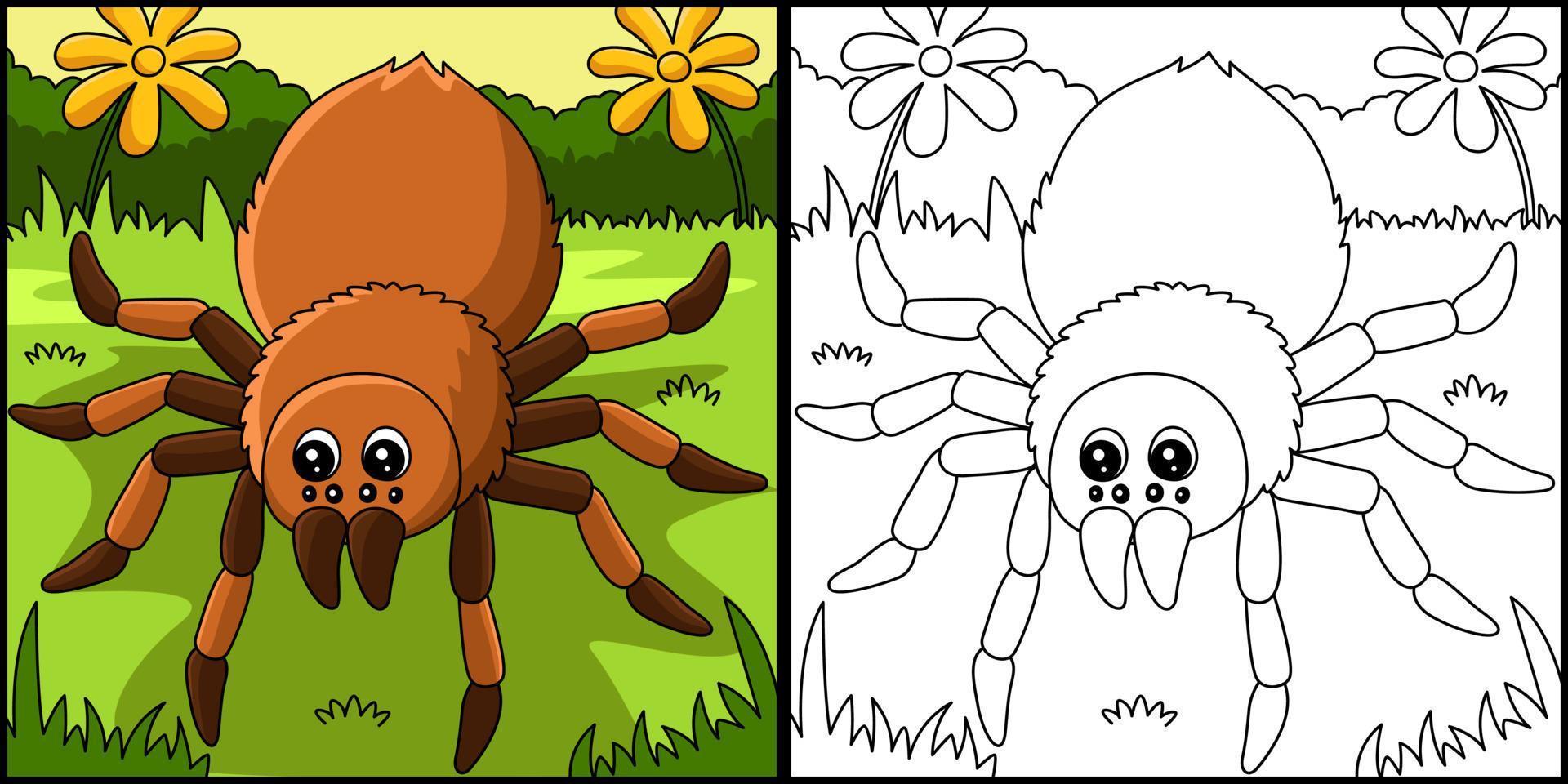 Tarantula Animal Coloring Page Illustration vector