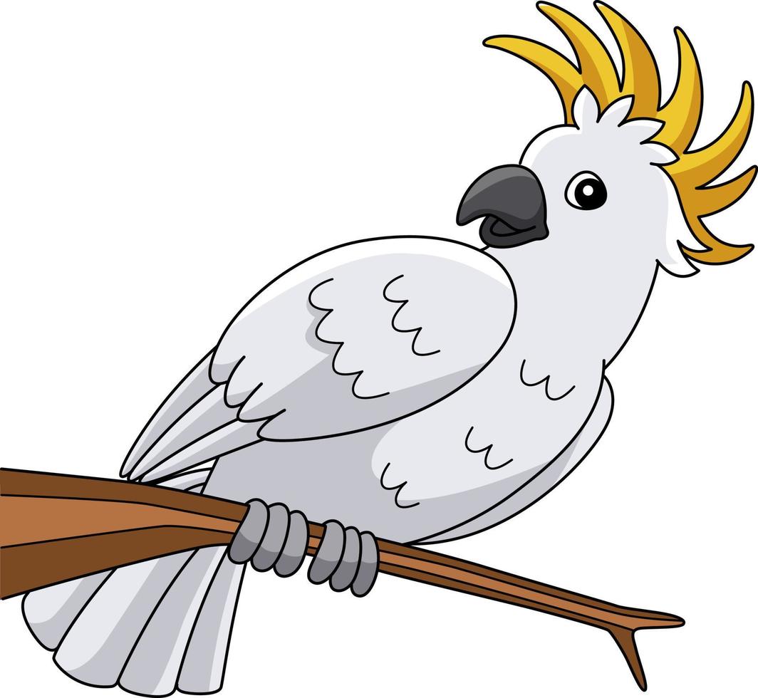 Cockatoo Animal Cartoon Colored Clipart vector