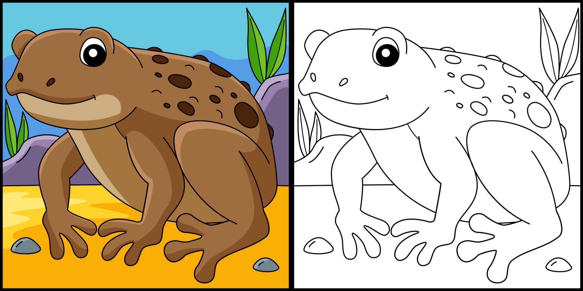 Cane Toad Frog Animal Coloring Page Illustration vector