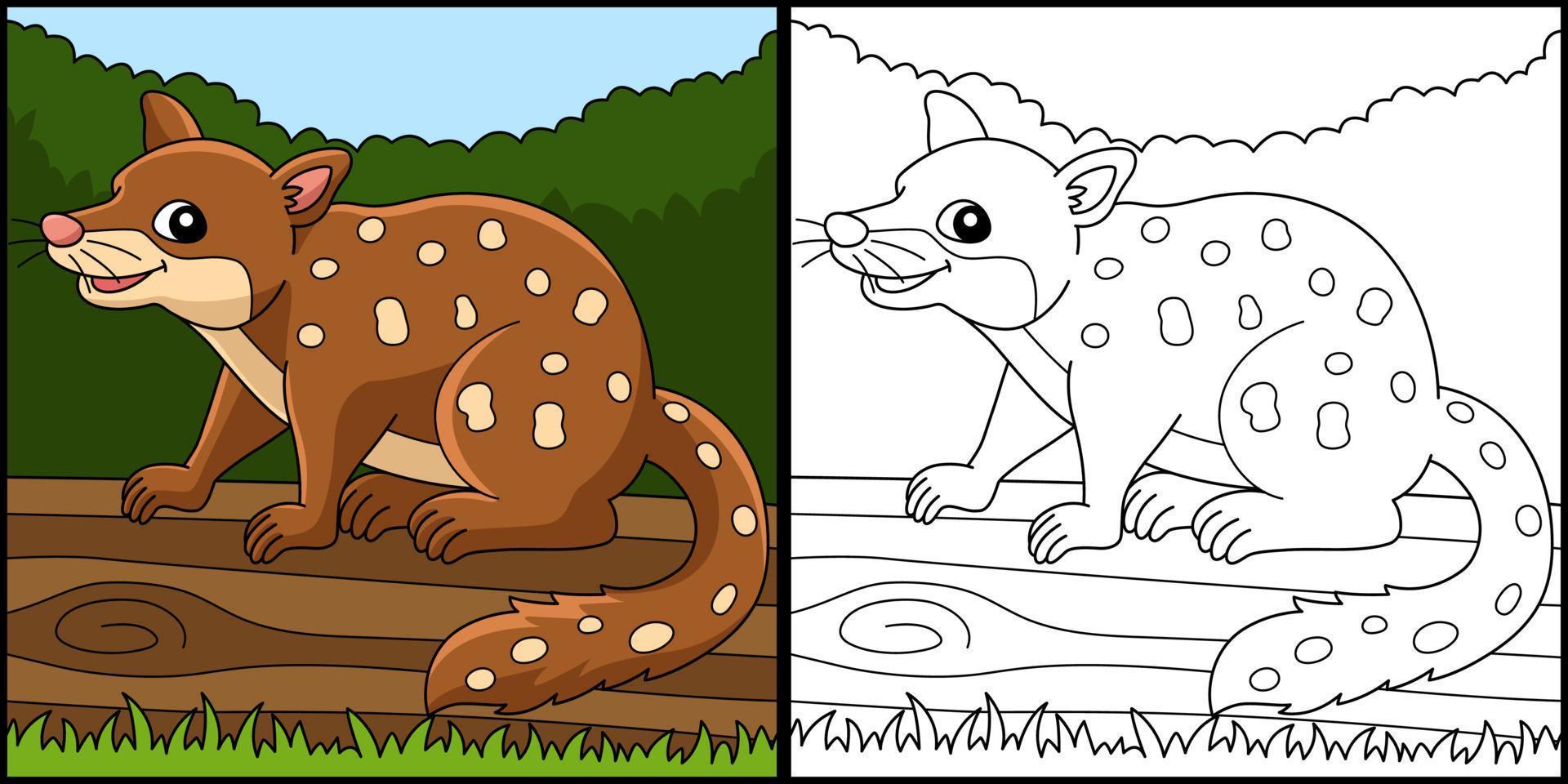 Tiger Quoll Animal Coloring Page Illustration vector