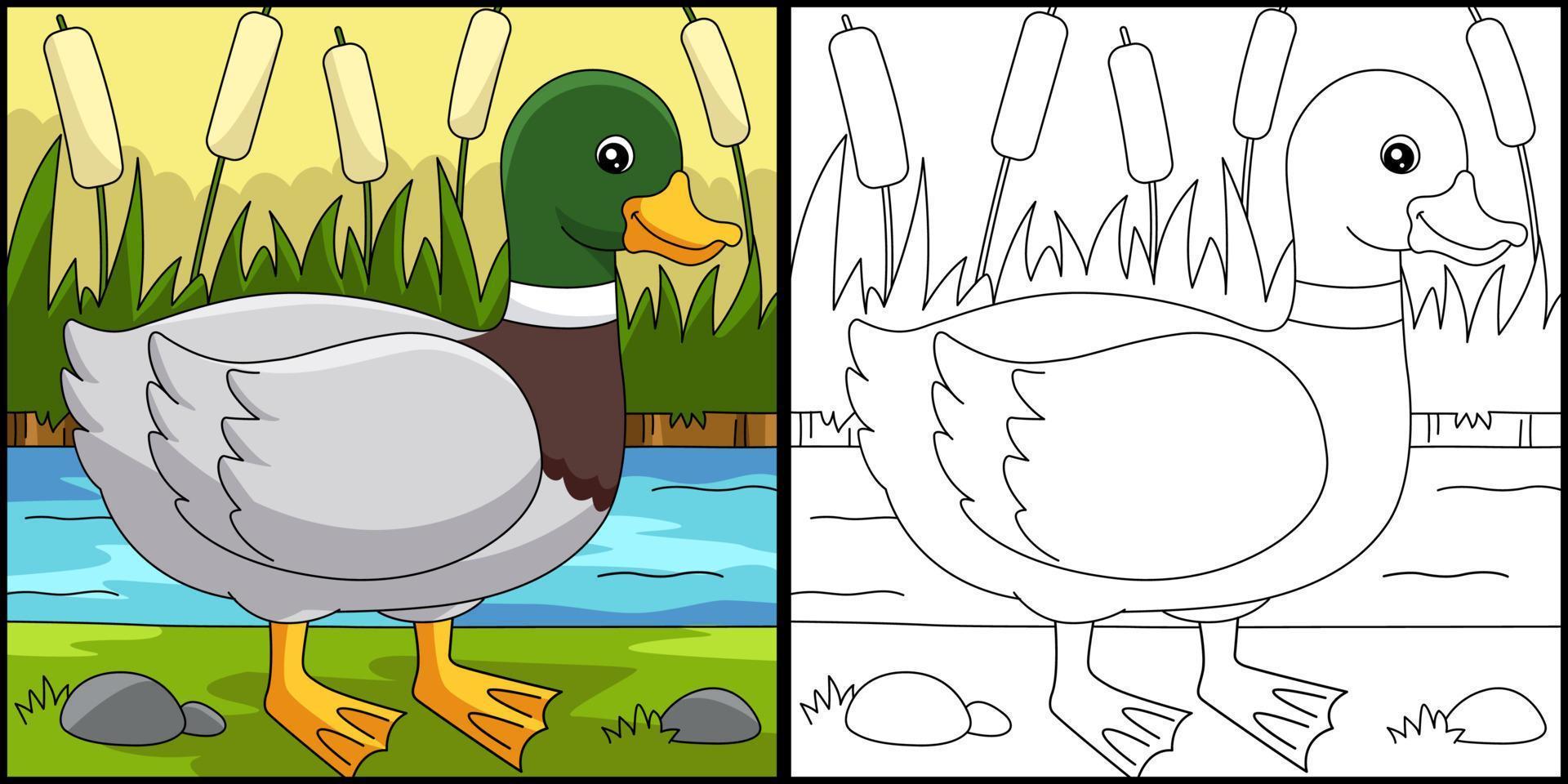 Duck Coloring Page Colored Illustration vector