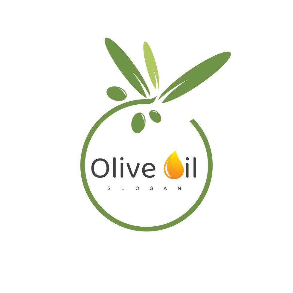 Olive Oil Logo With Droplet Symbol vector