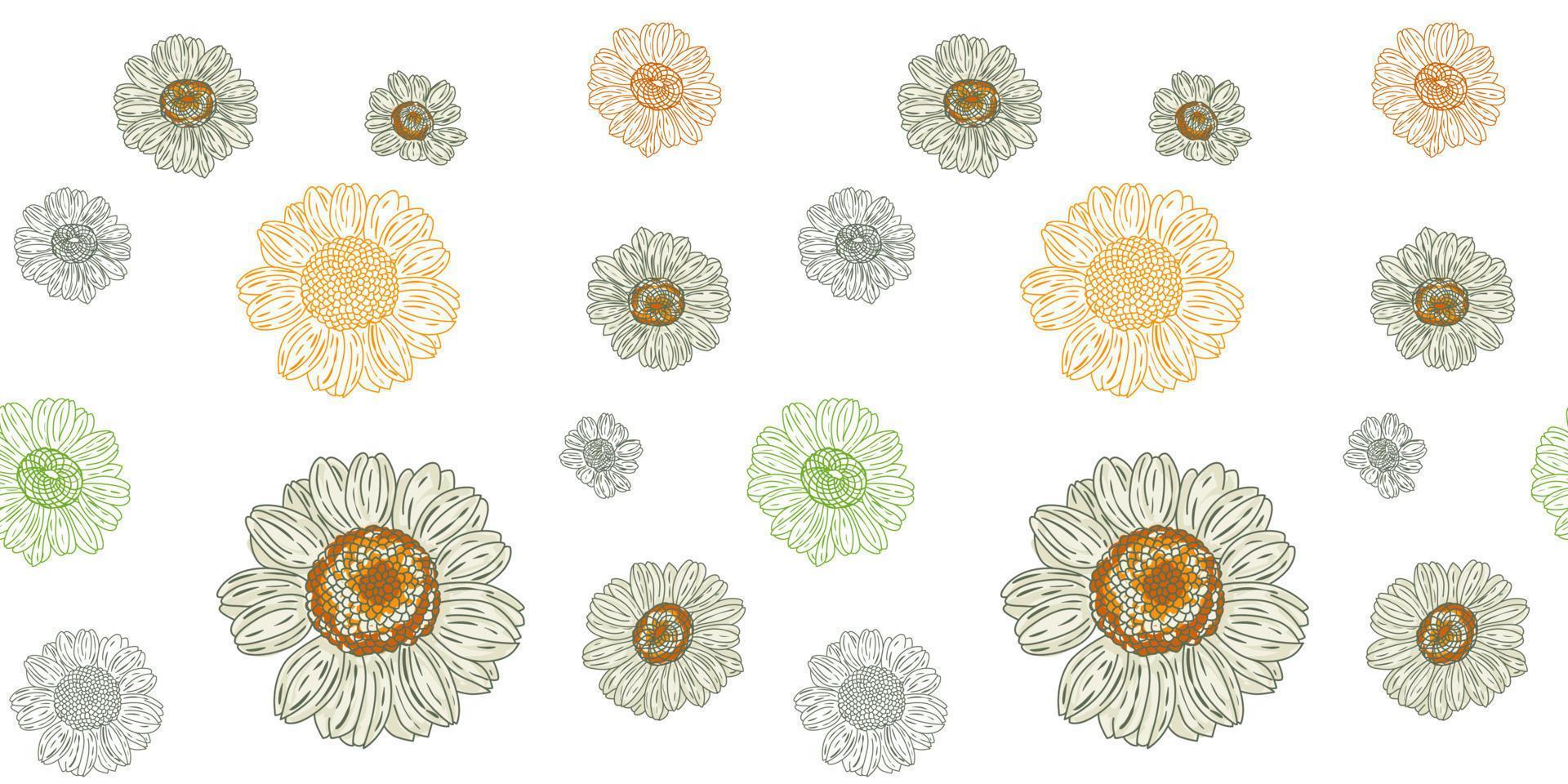 Chamomile flower botanical seamless pattern vector