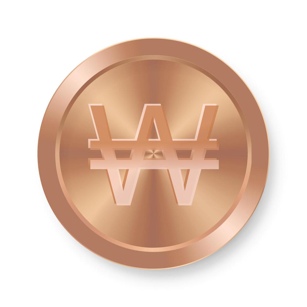 Bronze Won coin Concept of internet web currency vector