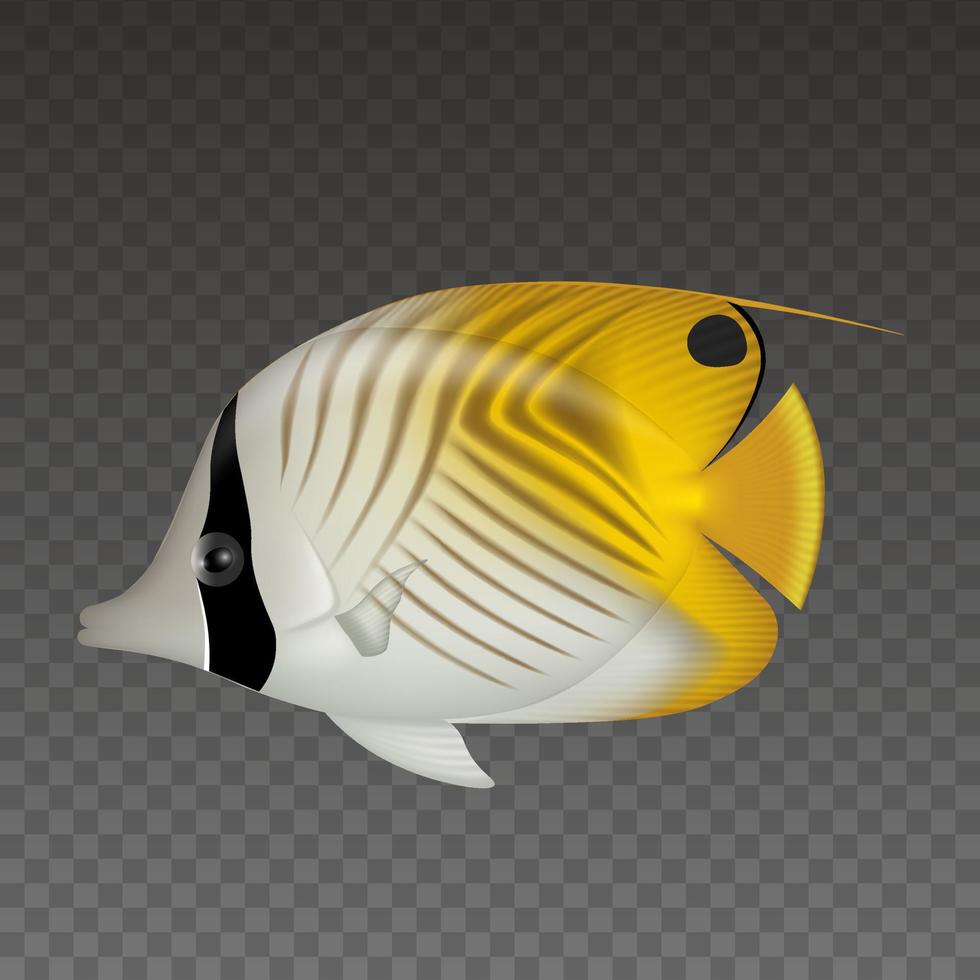 isolated tropical fish. threadfin butterflyfish illustration vector
