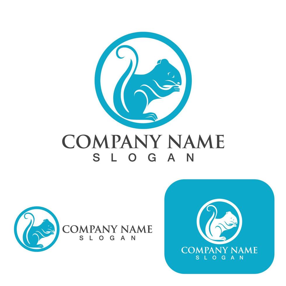 Squirrel  Logo  and Symbol Template vector