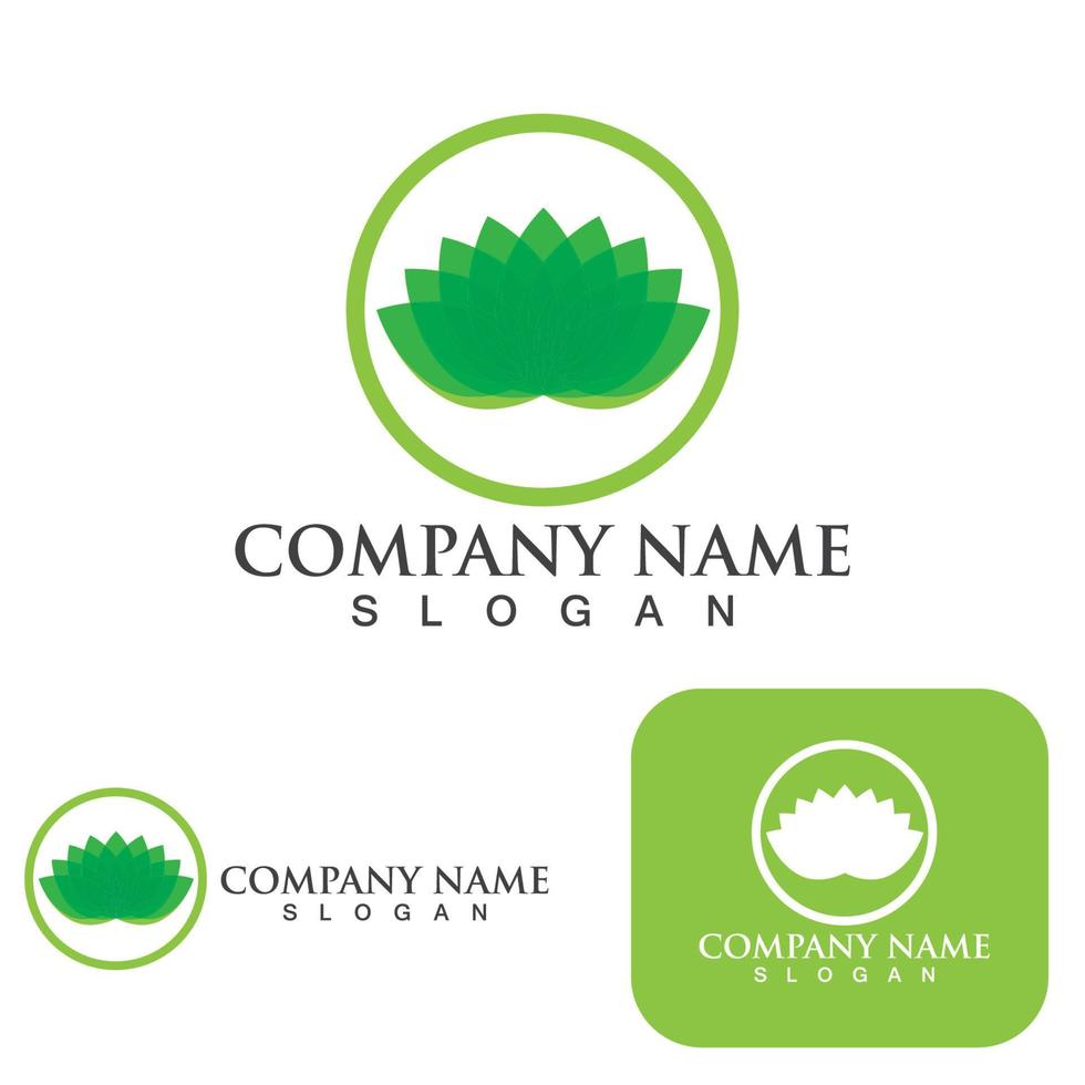 Lotus Flower Logo And Symbol Vector