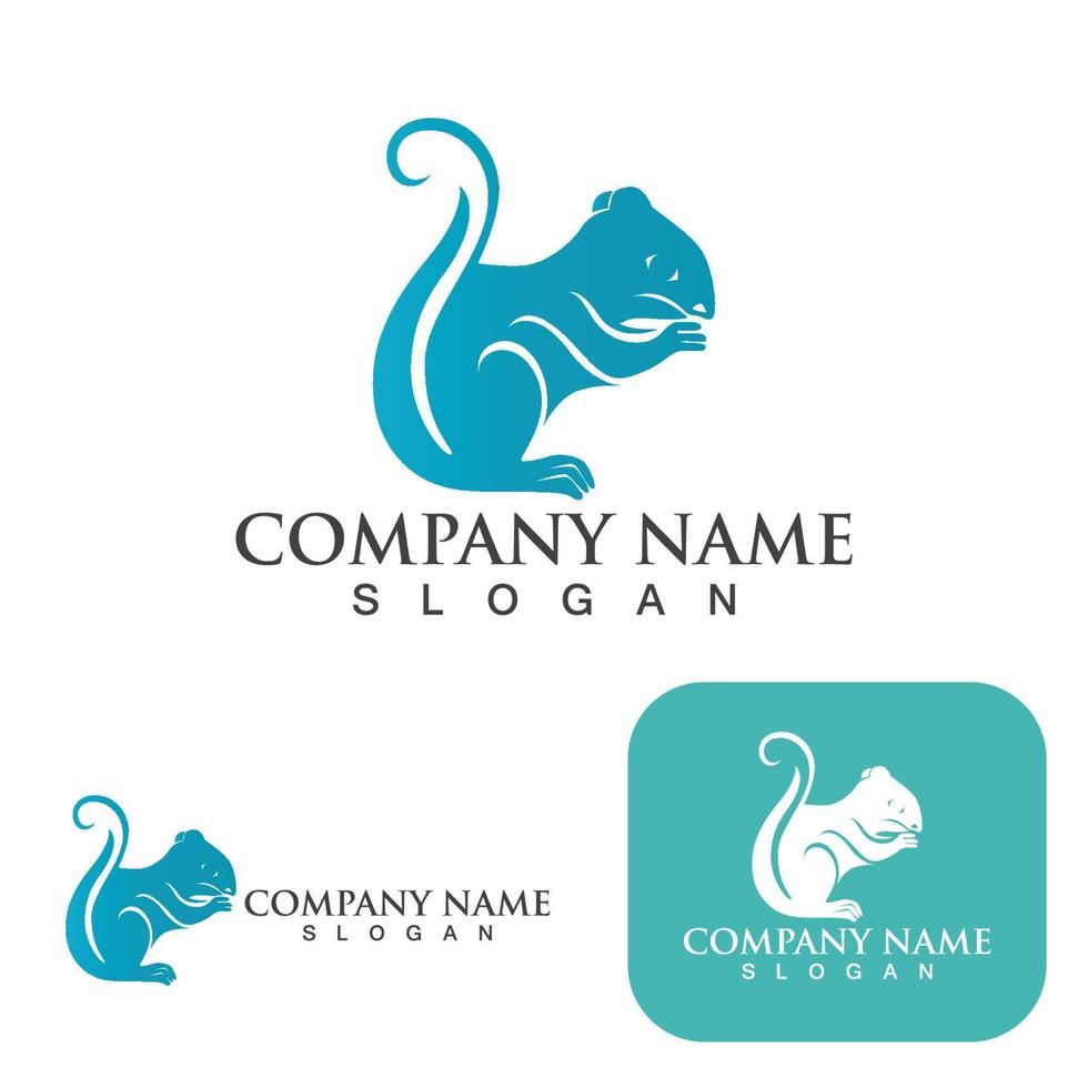 Squirrel  Logo  and Symbol Template vector