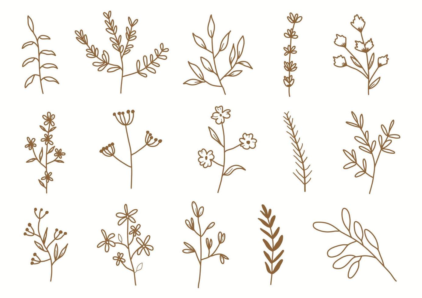 Hand drawn botanical set leaves and flowers for decoration. vector