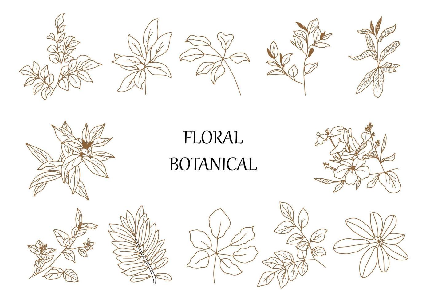 Hand drawn botanical set leaves and flowers for decoration. vector