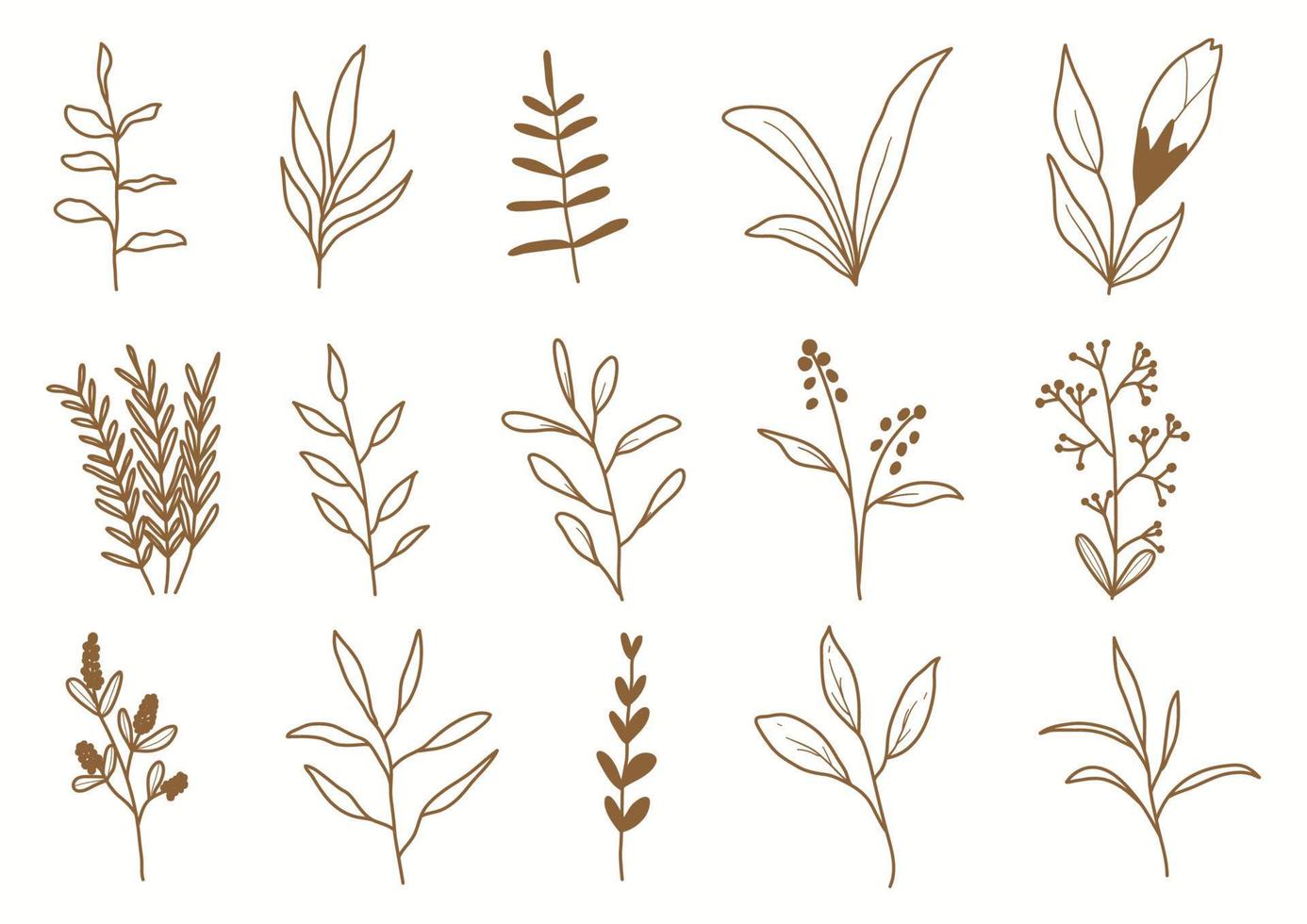 Hand drawn botanical set leaves and flowers for decoration. vector