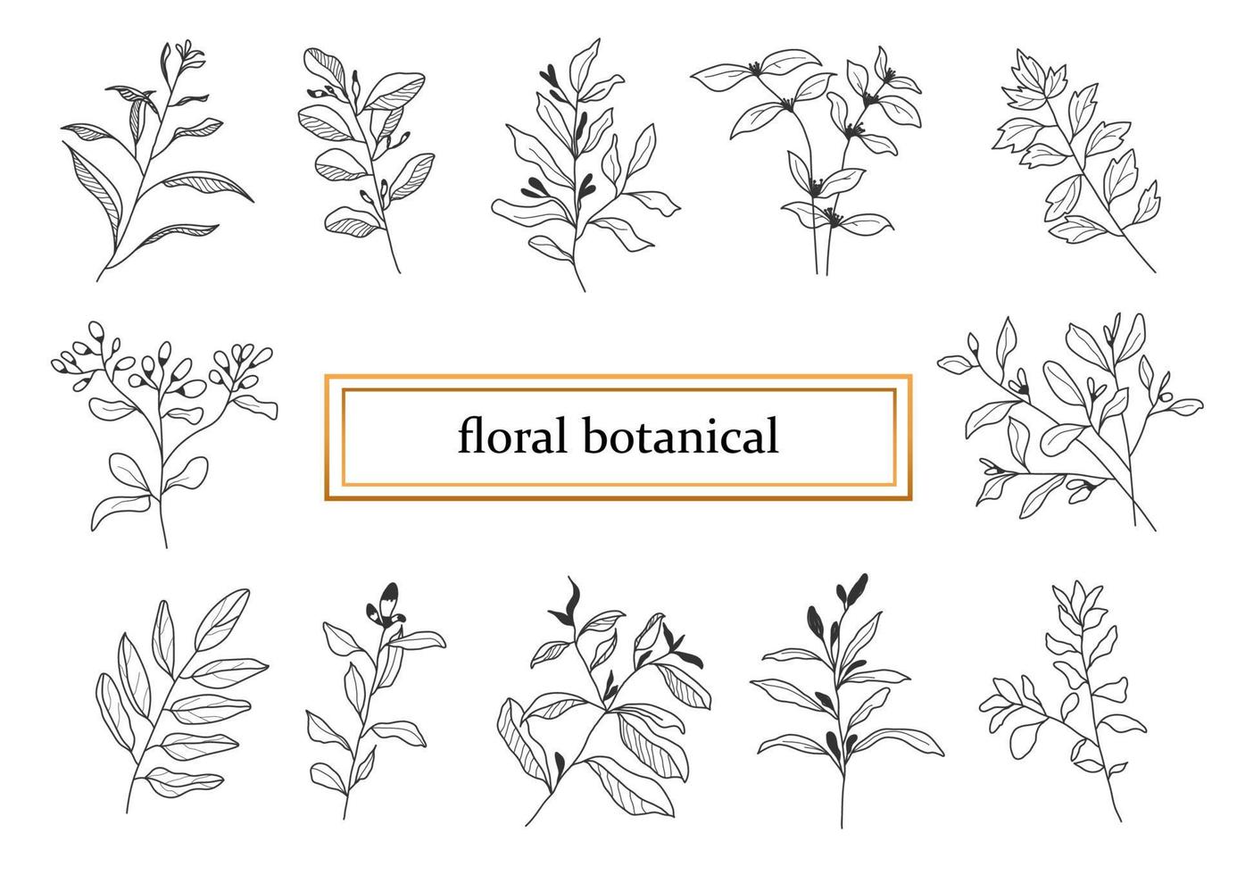 Hand drawn botanical set leaves and flowers for decoration. vector