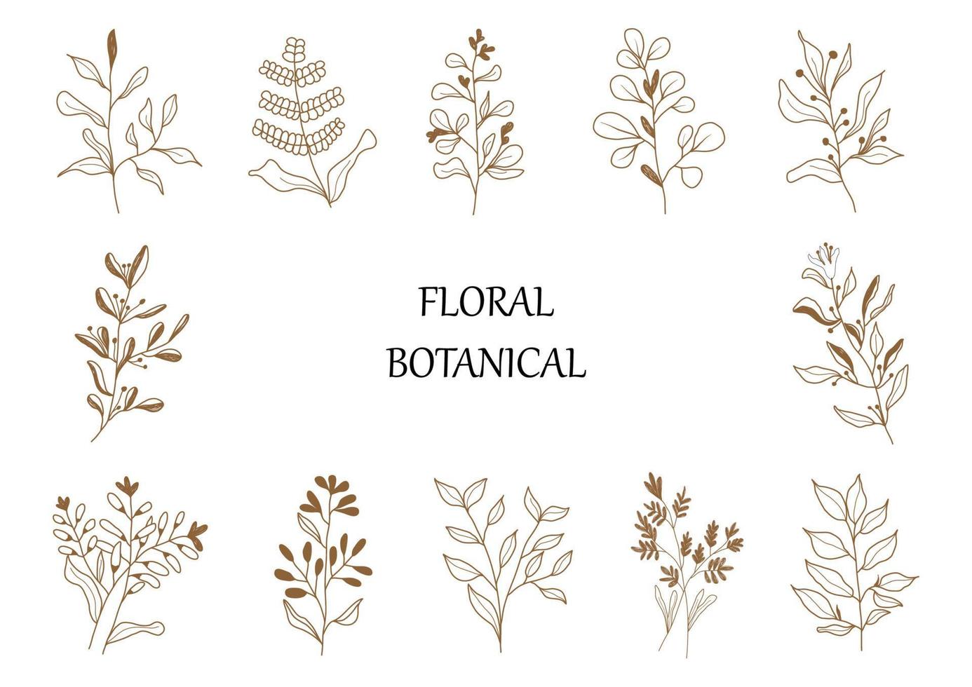 Hand drawn botanical set leaves and flowers for decoration. vector