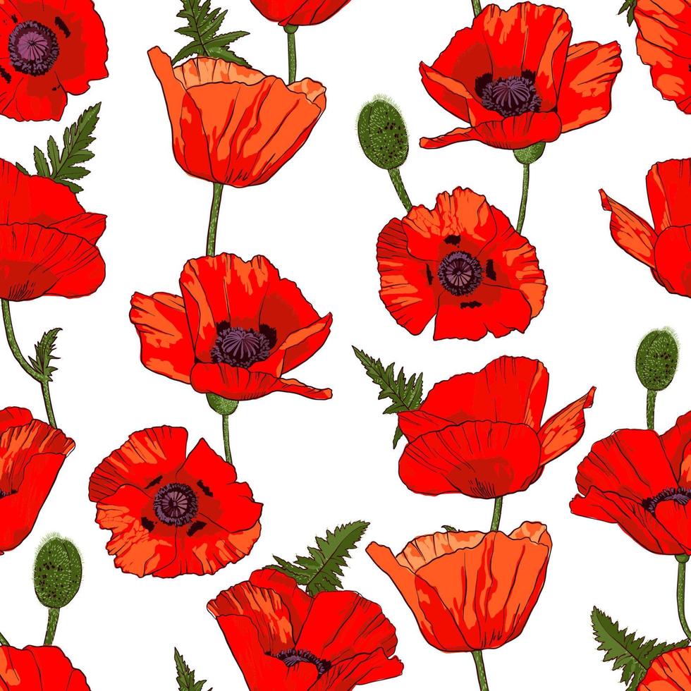 Seamless pattern with hand drawn wild red poppy flowers isolated on white background. Design element for textile, fabrics, wrapping paper or wallpapers. Vector illustration.