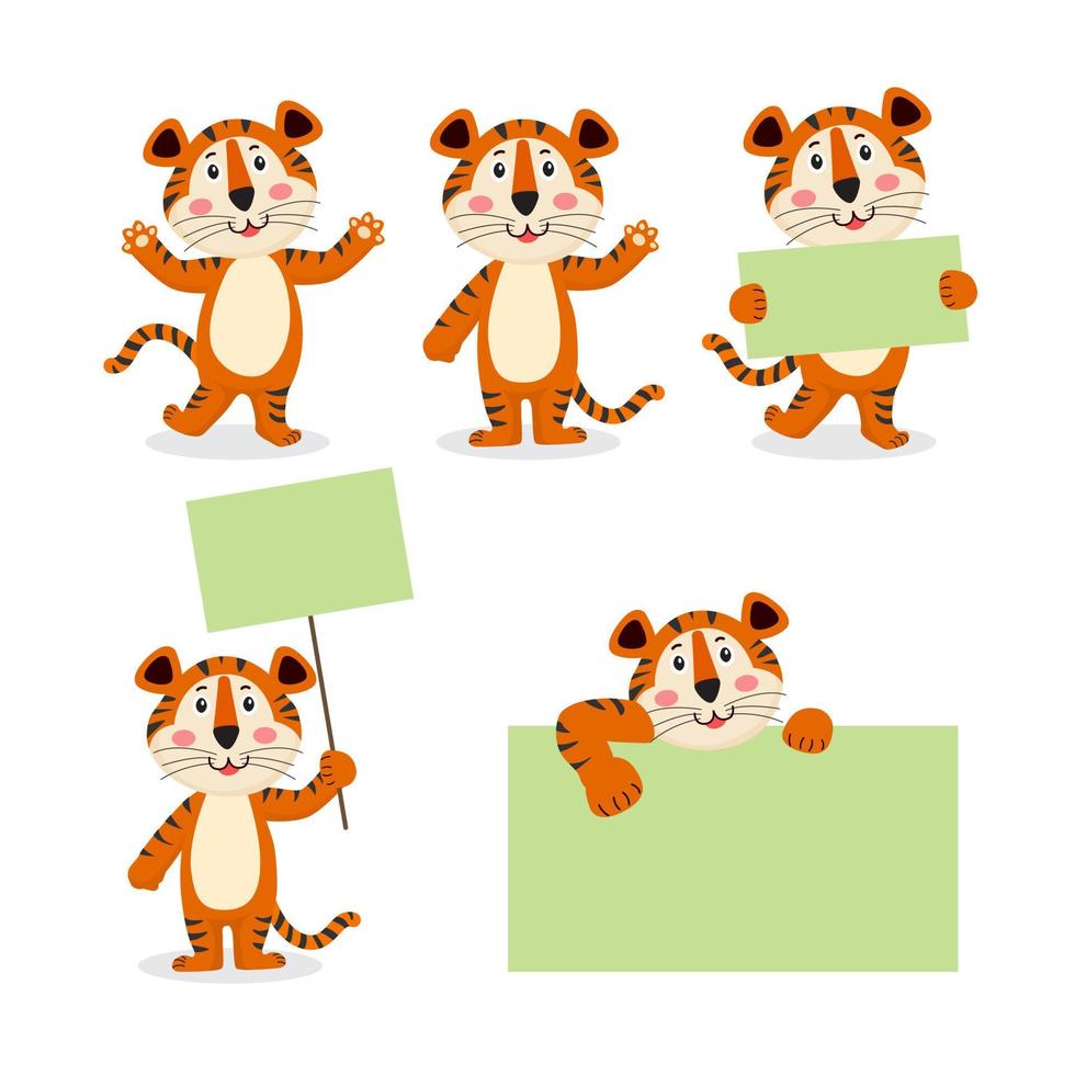 Set of cute tiger cartoon characters holding empty banner waving, posing and standing behind blank poster for texts, greeting card and web design vector