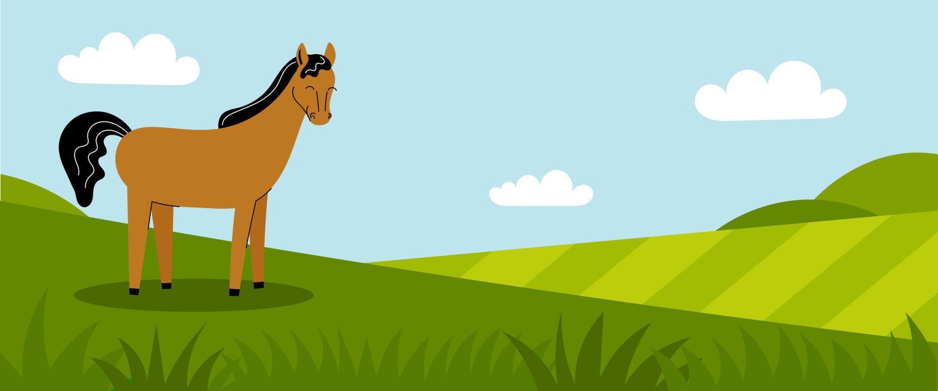 un lindo caballo marrón se encuentra en un prado verde. animales de granja. panorama de verano con un campo. lugar para su texto. ilustración de color de dibujos animados plana vector